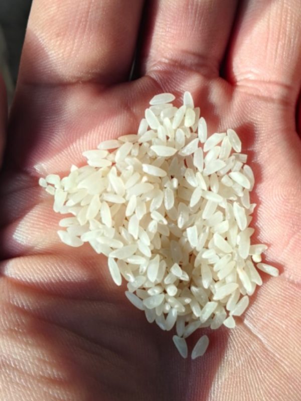 kala-namak-rice