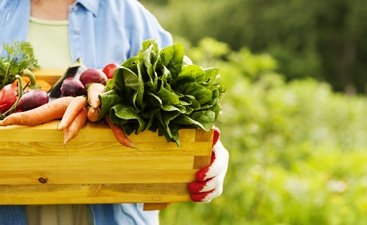 organic-blog-2