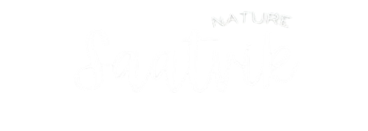 Saatvik Nature