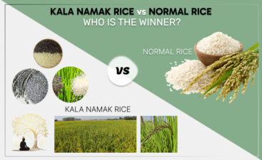 difference-between-kala-namak-rice-and-normal-rice