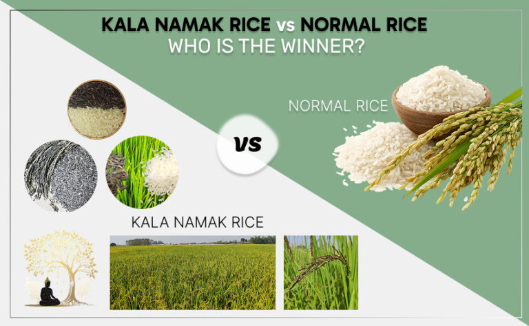 🌾 Difference Between Kala Namak Rice and Normal Rice – A Nutritional ...