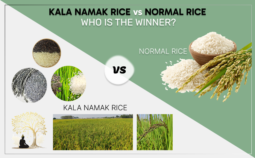 difference-between-kala-namak-rice-and-normal-rice