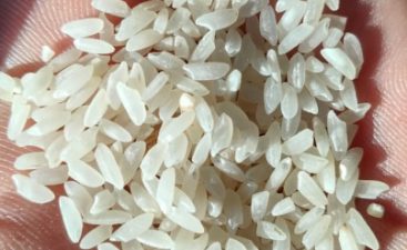 Natural kala namak rice