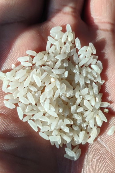 Natural kala namak rice