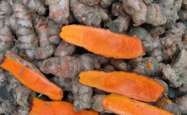 turmeric-2 Organic turmeric