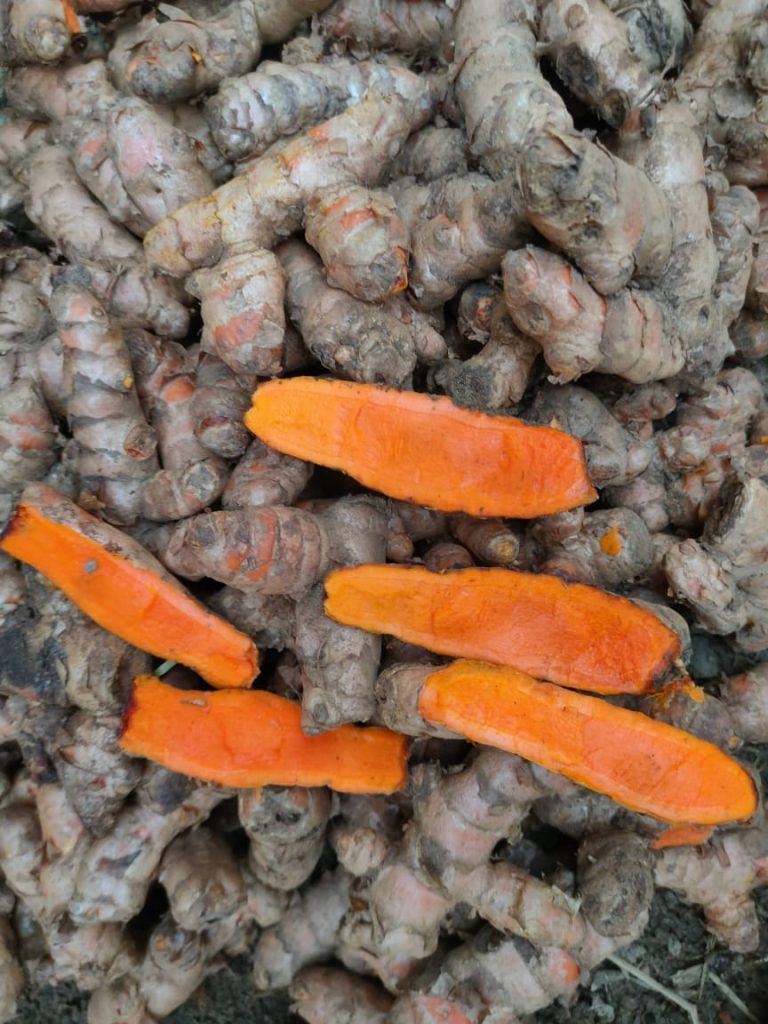 Organic turmeric